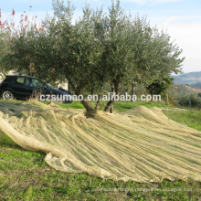 Excellente qualité nouvelle récolte de hdpe à venir recueillir des filets d&#39;olive